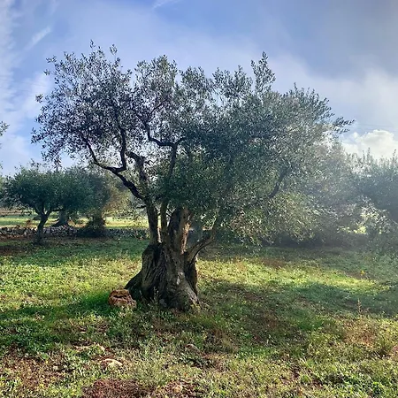 Apartment Equi Trullo *