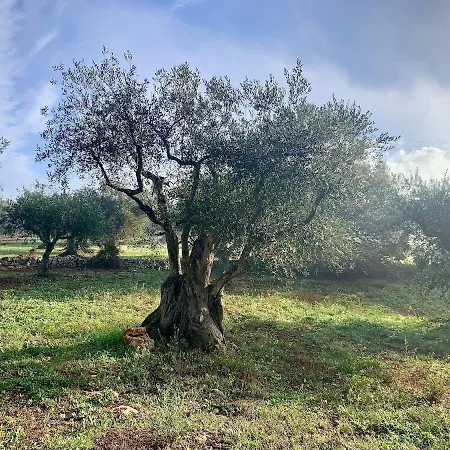Equi Trullo Apartment *